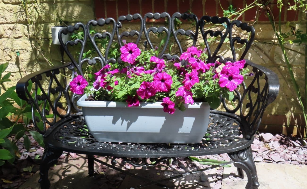Garden Flower box
