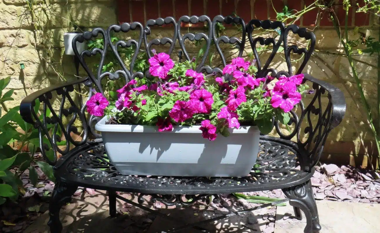Garden Flower box